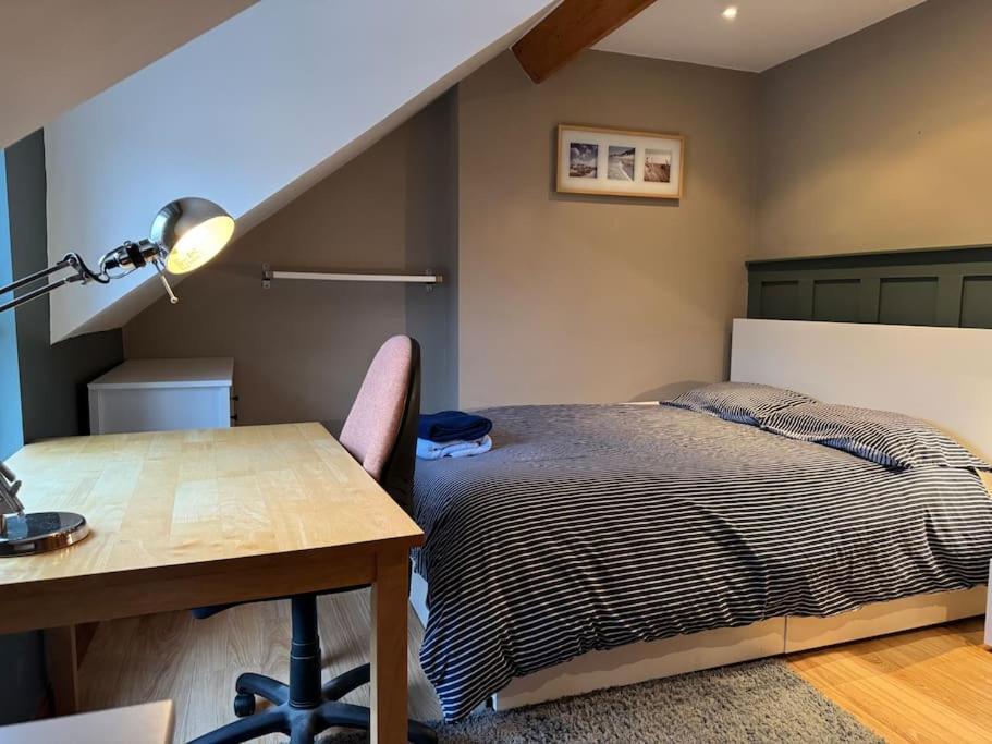 Stylish, Spacious And Central 4 Bedroom House Belfast Buitenkant foto